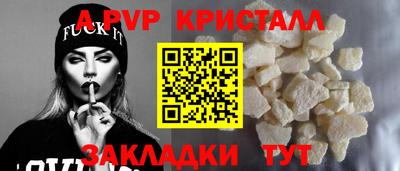 СК Ярославль