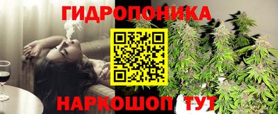 крисы Ангарск