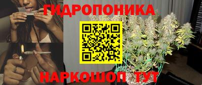 крисы Ангарск